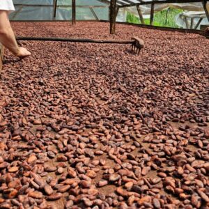 PHOTO-2025-12-18-10-30-38