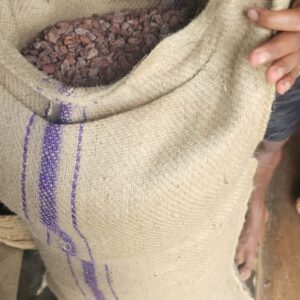 PHOTO-2025-12-18-10-30-40 (1)