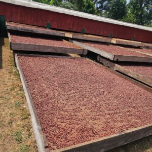 PHOTO-2025-12-18-10-30-40