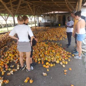 PHOTO-2025-12-18-10-30-43