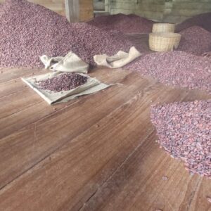 PHOTO-2025-12-18-10-30-44