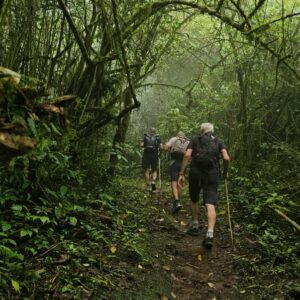 PHOTO-2025-11-17-11-34-49 (1)