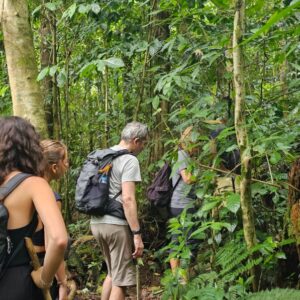 PHOTO-2025-11-17-11-34-50