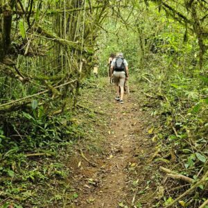 PHOTO-2025-12-22-08-44-23