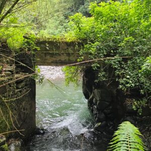 PHOTO-2025-12-22-08-52-22