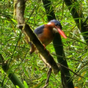 PHOTO-2025-12-22-08-52-33 (1)