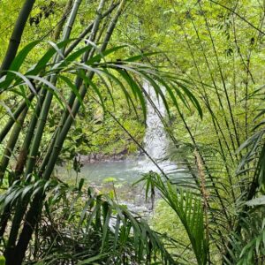 PHOTO-2025-12-22-08-52-33