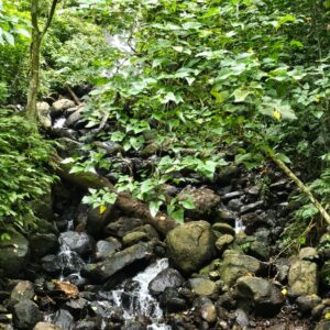 PHOTO-2025-12-22-08-52-34 (1)