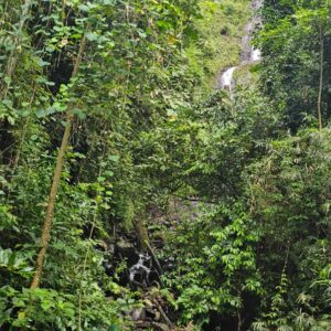 PHOTO-2025-12-22-08-52-34